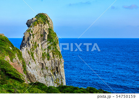 猿岩　【長崎県壱岐市】 54750159