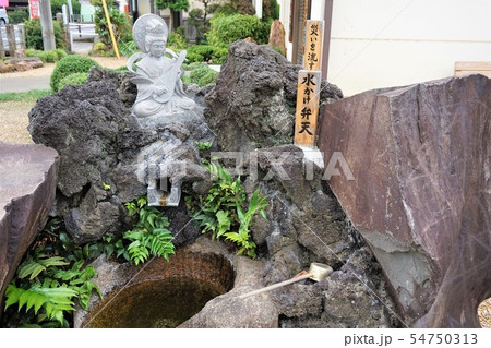 足利　厳島神社　水かけ弁天 54750313
