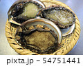 採れたて新鮮アワビ 54751441