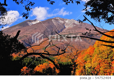 新雪の不忘山と山麓の紅葉 新雪の不忘山と山麓の紅葉 54752404