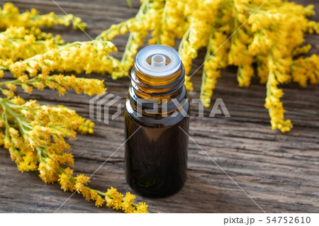 A bottle of goldenrod essential oil  54752610