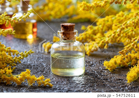 A bottle of goldenrod essential oil  54752611