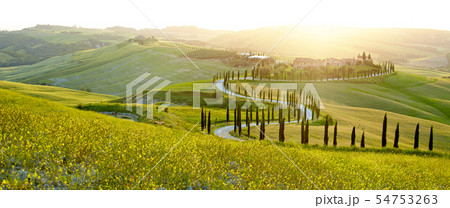 Sunny fields in Tuscany, Italy Sunny fields in Tuscany, Italy 54753263