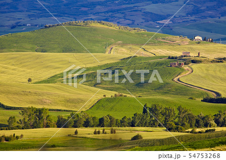Countryside, San Quirico d`Orcia , Tuscany, Italy Countryside, San Quirico d`Orcia , Tuscany, Italy 54753268