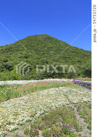 善通寺五岳の里 市民集いの丘公園 花咲き棚田と借景の筆ノ山の写真素材