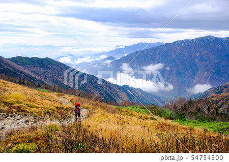 柏原新道 （爺ヶ岳登山） 54754300
