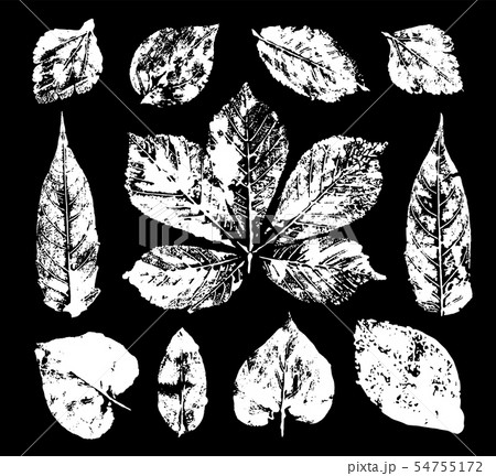 Leaves imprints set. Vector illustration Leaves imprints set. Vector illustration 54755172