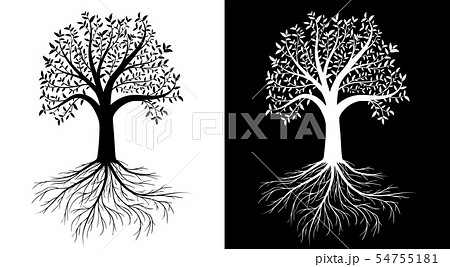 Vector tree with leaves and roots Vector tree with leaves and roots 54755181