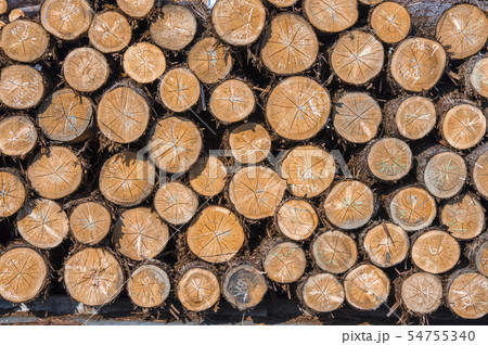 木材置き場の写真素材