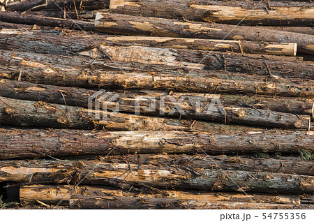 木材置き場の写真素材
