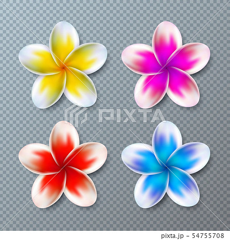 Vector Illustration with Colorful Plumeria Flower Collection Isolated on Transparent Background 54755708