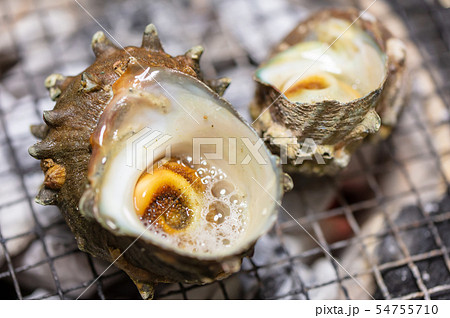サザエのつぼ焼き･BBQ･bbq･炭火焼･網焼･備長炭･七輪･キャンプ･食事･食べ物･さざえ･栄螺 54755710