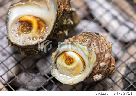 サザエのつぼ焼き･BBQ･bbq･炭火焼･網焼･備長炭･七輪･キャンプ･食事･食べ物･さざえ･栄螺 54755711