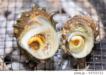 サザエのつぼ焼き・BBQ・bbq・炭火焼・網焼・備長炭・七輪・キャンプ・食事・食べ物・さざえ・栄螺 サザエのつぼ焼き・BBQ・bbq・炭火焼・網焼・備長炭・七輪・キャンプ・食事・食べ物・さざえ・栄螺 54755712