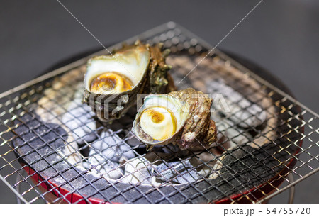 サザエのつぼ焼き･BBQ･bbq･炭火焼･網焼･備長炭･七輪･キャンプ･食事･食べ物･さざえ･栄螺 54755720