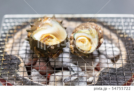 サザエのつぼ焼き･BBQ･bbq･炭火焼･網焼･備長炭･七輪･キャンプ･食事･食べ物･さざえ･栄螺 54755722
