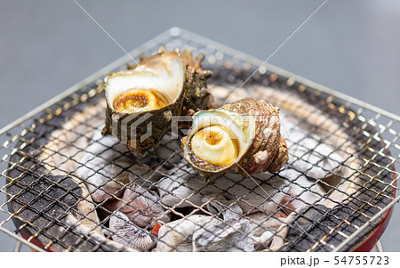 サザエのつぼ焼き･BBQ･bbq･炭火焼･網焼･備長炭･七輪･キャンプ･食事･食べ物･さざえ･栄螺 54755723