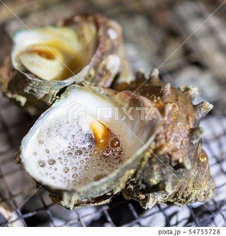 サザエのつぼ焼き･BBQ･bbq･炭火焼･網焼･備長炭･七輪･キャンプ･食事･食べ物･さざえ･栄螺 54755728