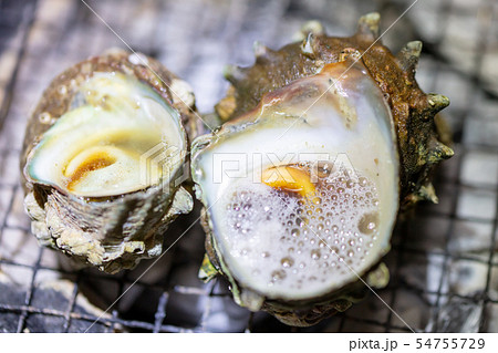 サザエのつぼ焼き･BBQ･bbq･炭火焼･網焼･備長炭･七輪･キャンプ･食事･食べ物･さざえ･栄螺 54755729