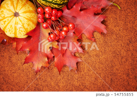 Autumnal background with pumpkins and leaves Autumnal background with pumpkins and leaves 54755855