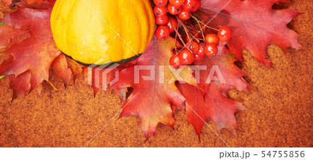 Autumnal background with pumpkins and leaves Autumnal background with pumpkins and leaves 54755856