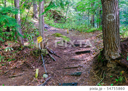 鍬ノ峰・白沢側登山口 54755860