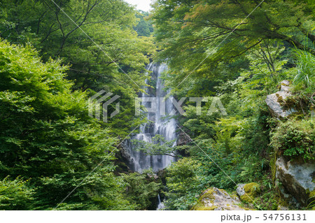 新緑の白滝 54756131