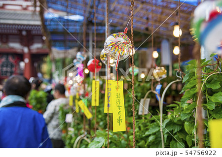 【浅草 浅草寺 ほおずき市】 【浅草 浅草寺 ほおずき市】 54756922