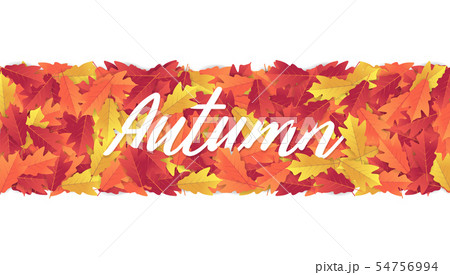Colorful Autumn Leaves Banner Background のイラスト素材 54756994