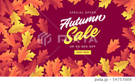 Autumn sale banner for shopping sale. Autumn sale banner for shopping sale. 54757009
