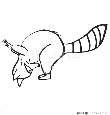 Doodle outline set of raccoon do yoga Doodle outline set of raccoon do yoga 54757685