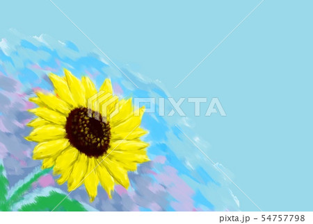 ひまわり ひまわり 54757798