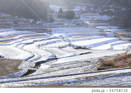 大垪和西 棚田 雪景色 大垪和西 棚田 雪景色 54758710