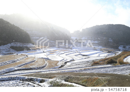 大垪和西　棚田　雪景色 54758718