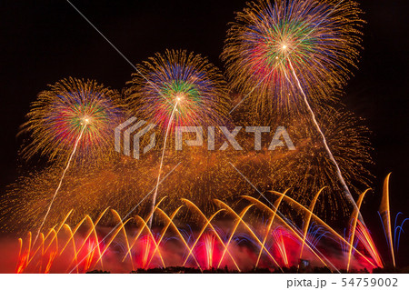 山形・鶴岡・赤川の花火 54759002