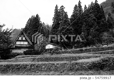 晩秋の五箇山相倉合掌造り集落 54759917