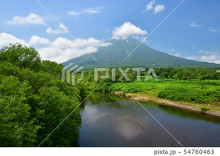 北海道京極町で尻別川と羊蹄山(蝦夷富士)の夏の風景を撮影 北海道京極町で尻別川と羊蹄山(蝦夷富士)の夏の風景を撮影 54760463