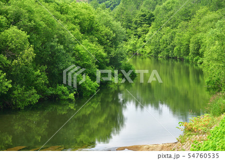 北海道京極町で尻別川の緑が生い茂る夏の風景を撮影 北海道京極町で尻別川の緑が生い茂る夏の風景を撮影 54760535