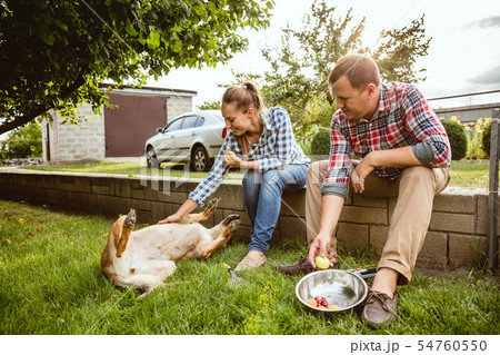 Young and happy farmer's couple at their garden in sunny day Young and happy farmer's couple at their garden in sunny day 54760550