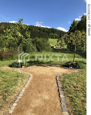 ニュルブルクリンク ２４h耐久レース 54760556