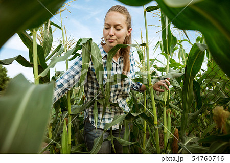 Young farmer working at his garden in sunny day Young farmer working at his garden in sunny day 54760746
