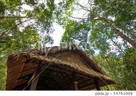 クチトンネル　建物　ベトナム　ホーチミン 54761009