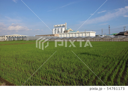 カントリーエレベーター 54761173