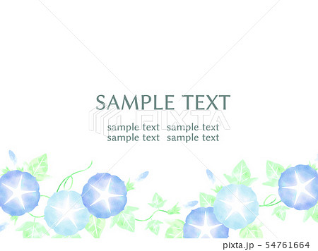 朝顔のイラストカード 朝顔のイラストカード 54761664
