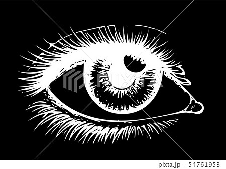 Eye on black background. Eyes art. Woman eye. The eye logo. Eyes art. Human eye, eye close up - Eye on black background. Eyes art. Woman eye. The eye logo. Eyes art. Human eye, eye close up - 54761953