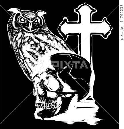 vector illestation drawing of Owl holding skull vector illestation drawing of Owl holding skull 54762238