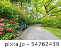 beautiful spring green park with many flowers 54762439