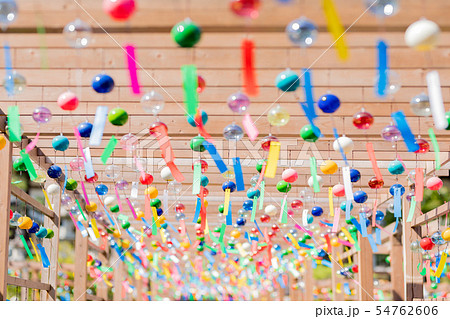 袋井　可睡斎　風鈴祭 54762606