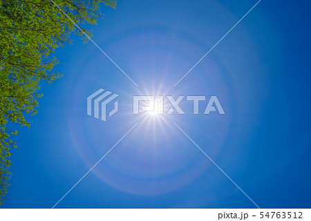 太陽の光環 54763512