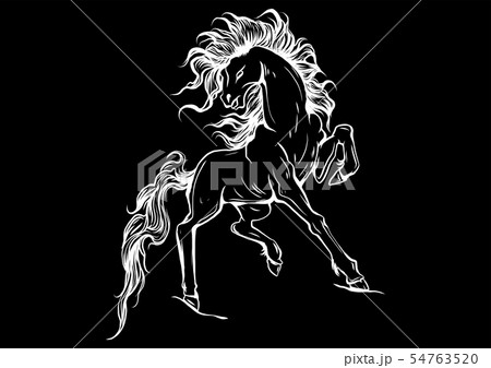Vector silhouette of a running horse illustration 54763520